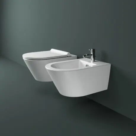 Sanitario Wall Hung+WC Bidet, Collado Villalba